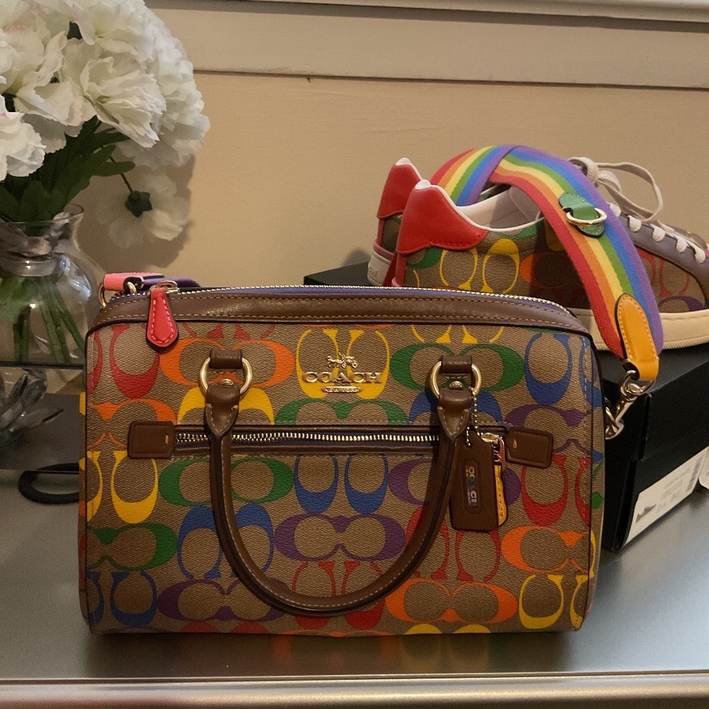 Coach Rainbow strap bag
